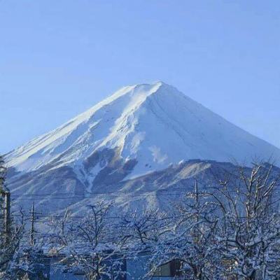 他一句话，换来油价瞬间暴跌17美元，代价是压上……